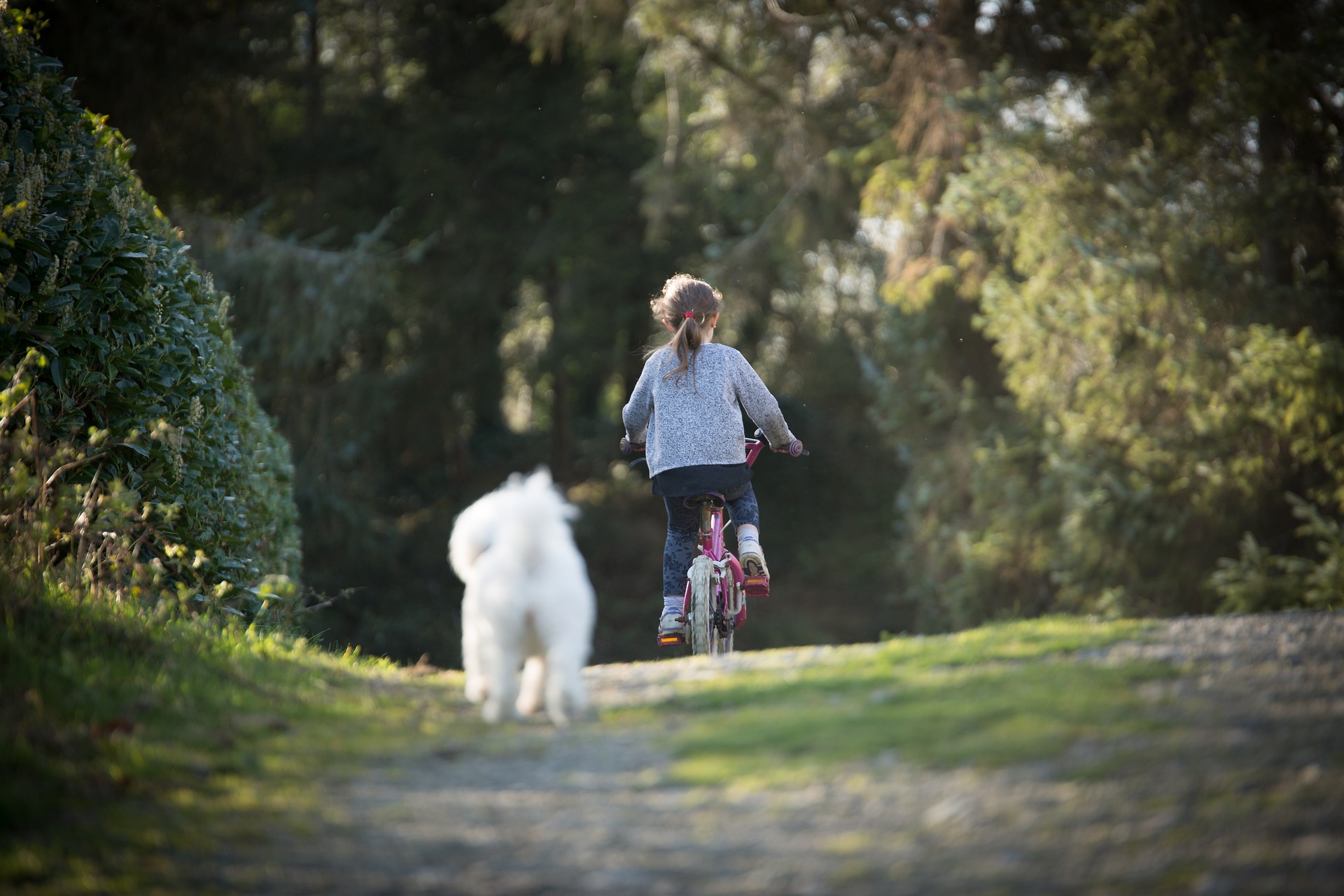 Bilden visar ett barn som cyklar och en hund springer efter. Med roliga uteleksaker, som fotbollar, springcyklar, balanscyklar, sparkcyklar och scooters skapar du roliga utelekar för alla åldrar.